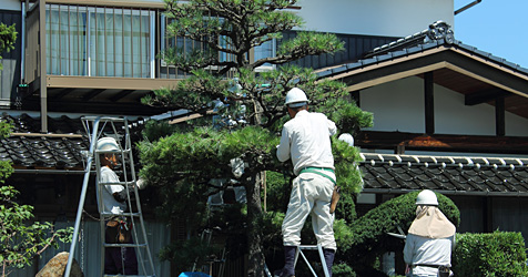 剪定・お手入れ