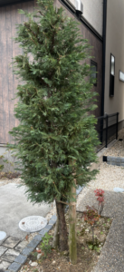 今回のご依頼は…レイランディの立て起こしです。